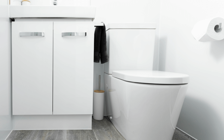 Fully Ceramic Back-to-Wall Toilet